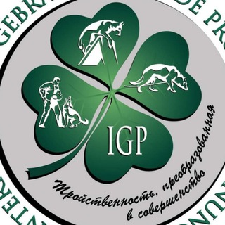 Вопросы судейства и правил IGP