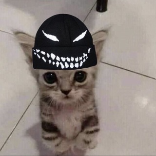 INSYXRT ☠️