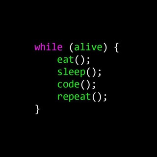Pro IT 👨‍💻