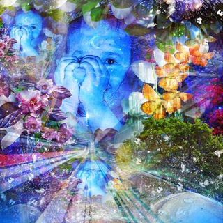 НОУ Indigo CHILD