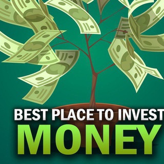 Invest Money Chat