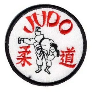 Дзюдо