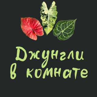 Джунгли в комнате