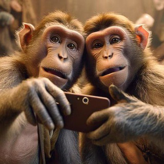 Junk Monkey
