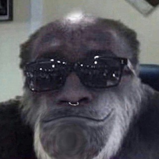 Junk Monkey