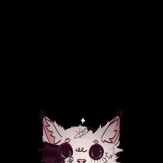  ° ꪆ୧ KOKM ₊ (!!)