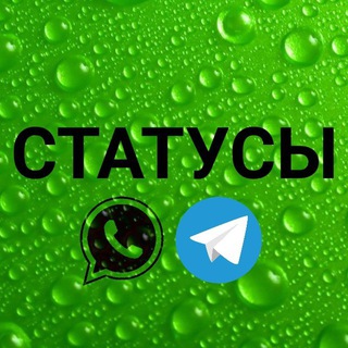 Статусы для ватсап Ислам сторизы 30 секунд телеграмм инстаграм whatsapp уатсап истории короткие видео нарезки ин ща Аллах урок