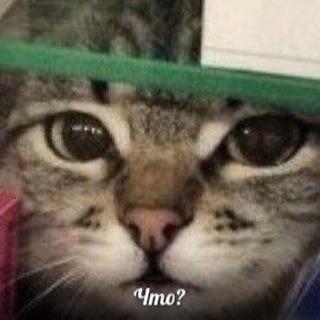 Котеки