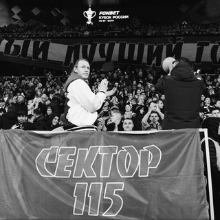 Сектор 115