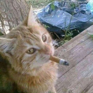 Курилка 🚬