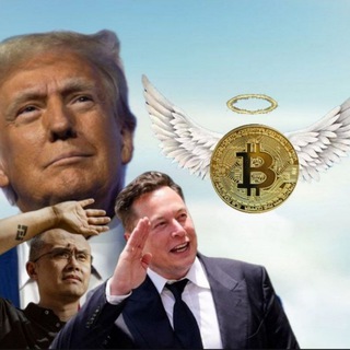 Lit Calls | Where memecoins
