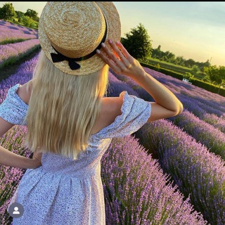_Lavender_shop_