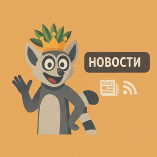 LemurVPN News