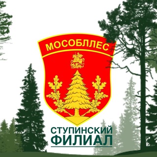 Ступинское лесничество