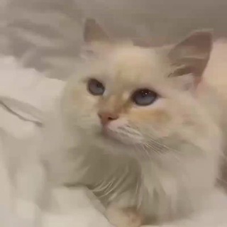 Lilisxa ° фонкамы ° пинерест °