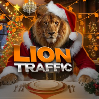 LION TRAFFIC TEAM