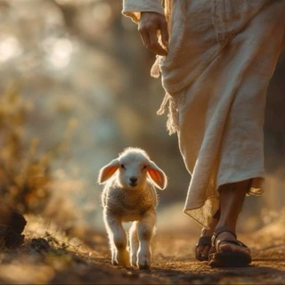 Love’s Jesus🤍