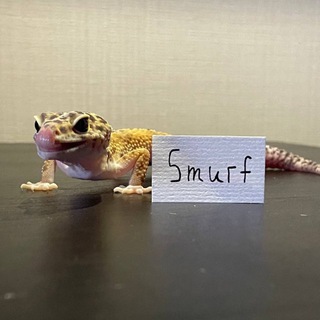 Smurf