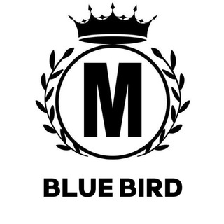 Blue Bird (информационный)