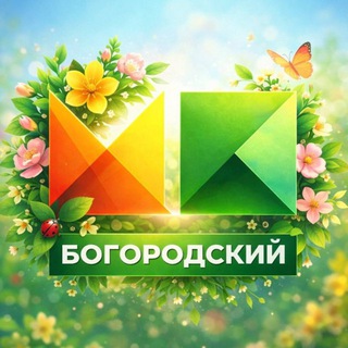Молодежный парламент БГО