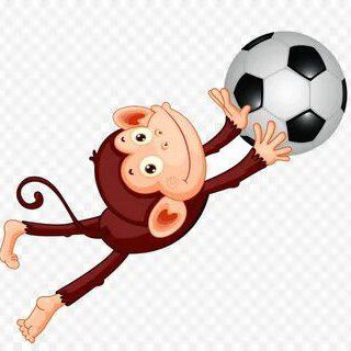 Monkey bet