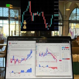 mansur.trader