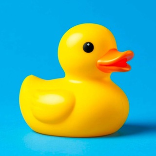 Marbin Duck