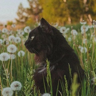 Mary_HobbyMyr