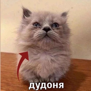 weezerный коврик
