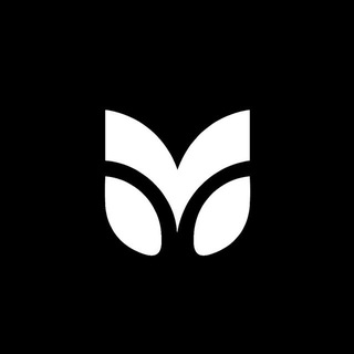 MENTOR