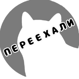 Meowgram 🐾