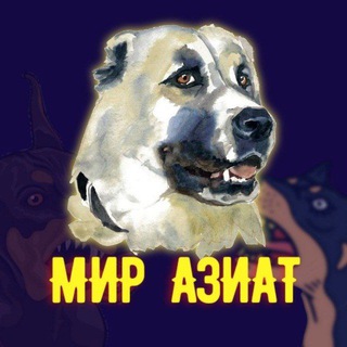 Мир Азиат 2