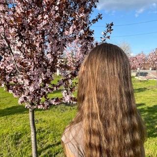Миᴩᴏɯᴀ🌸