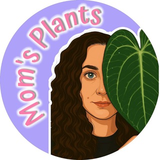 Mom's Plants 🌿