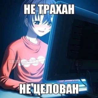 любящий zloo
