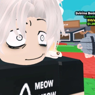 Mr.Melok: Roblox