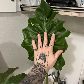 Mr. Plants 🪴