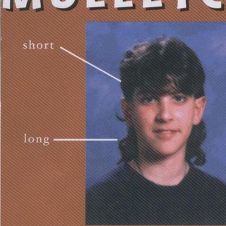 Mulletcore