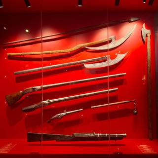 MuseoPro