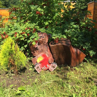 Наша Пасека