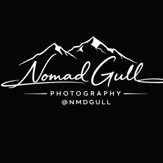 NOMAD GULL