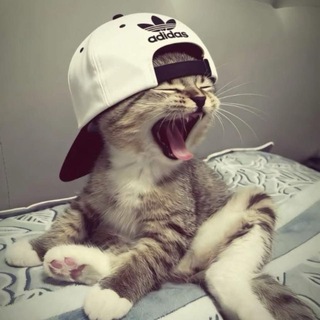 lil the шкед