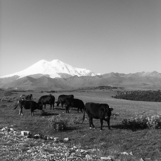Travel NT
