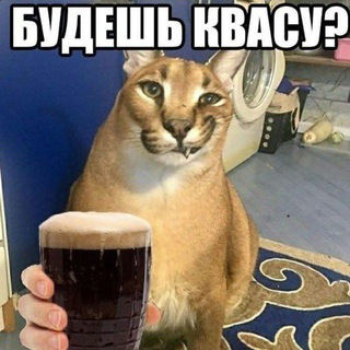 Канал НедоЮтуберов