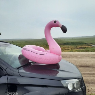 Мы тут мимо проезжали!🚗