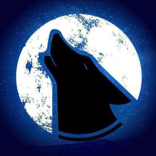 Night Wolves | News
