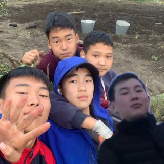 4 поля