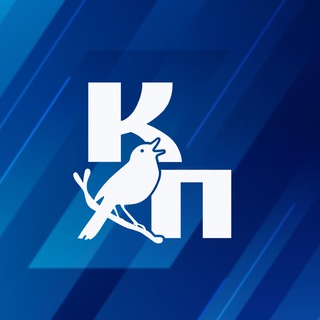 Чат | PROKursk