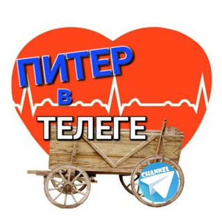#МишуткаПИТЕР