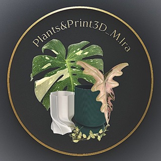 Plants&Print3D_M.Ira